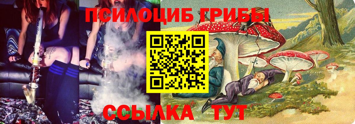 Галлюциногенные грибы Psilocybine cubensis Гагарин