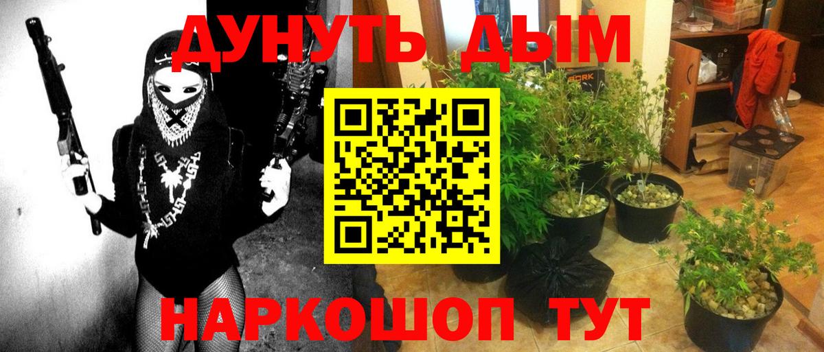 Каннабис семена Гагарин